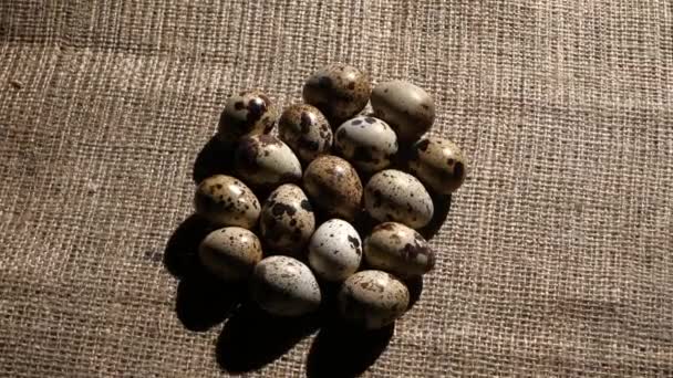 Ouă de prepeliță stivuite pe burlap. Rotație — Videoclip de stoc