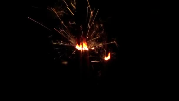 Fuochi d'artificio scintillante su sfondo nero. Rallentatore — Video Stock