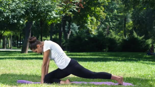 Bewegung in der Natur. Yoga — Stockvideo