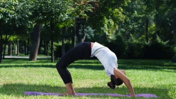 Women practicing yoga in the park background — Stockvideo