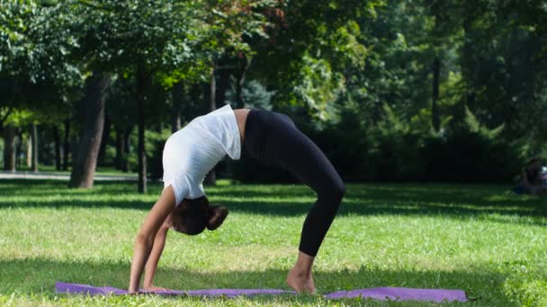 Girl is engaged in yoga, outdoors in a park in summer — Stockvideo