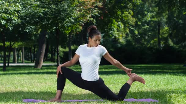 Woman doing yoga in the park on a beautiful day — Stock Video