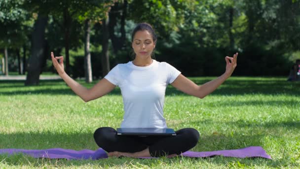 Vrouw die werkt met laptop zitting lotus pose — Stockvideo