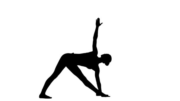 Frauen in Yoga-Posen und sportlicher Bewegung. weißer Hintergrund. Silhouette — Stockvideo