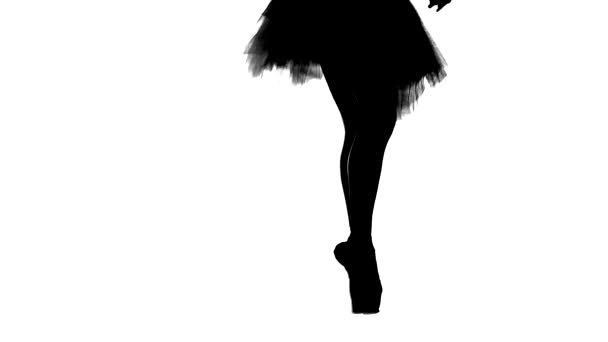 Silhouette ballerina dancing, closeup on legs and shoes, standing in pointe position. Slow motion — Stockvideo