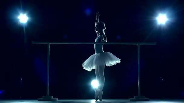 Ballet dancers on white pointe, near the choreographic training machine. slow motion — Stockvideo