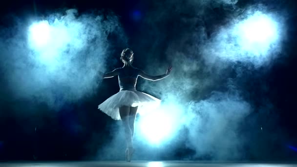 Bailarina graciosa fazendo um treino em sala de aula, câmera lenta — Vídeo de Stock