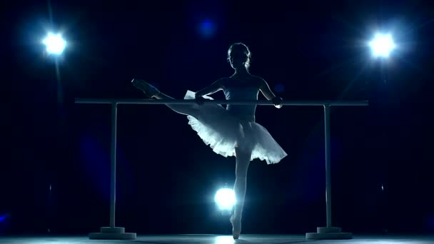 Ballerina is wearing white tutu and pointe shoes. slow motion — ストック動画