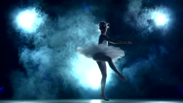 Ballerina: workout in the classroom, slow motion — Stock Video