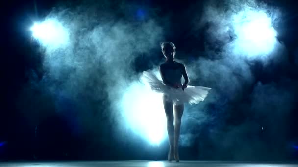 Ballerina doing a workout in the classroom, slow motion — Stock Video