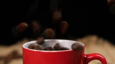 Kahve çekirdekleri kırmızı küçük fincan içine düşüyor. Ağır çekim