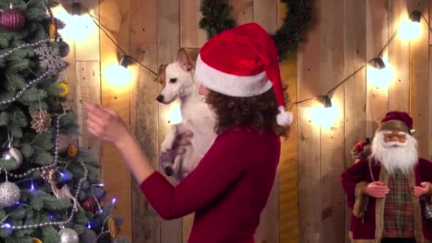 若くてきれいな女性、赤いドレス、犬、木製の背景とクリスマス ツリー — ストック動画