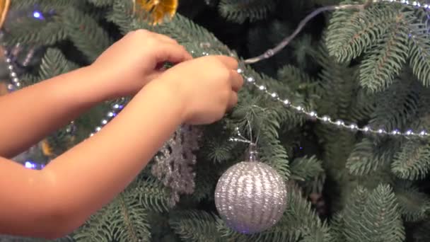 Μικρό κορίτσι διακόσμηση του Χριστουγεννιάτικου δέντρου προσεκτικά πριν από την Πρωτοχρονιά — Αρχείο Βίντεο