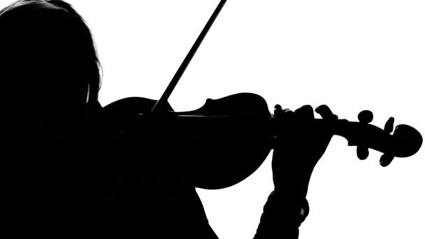 Uma rapariga volinista a tocar violino. Close-up. Silhueta — Vídeo de Stock