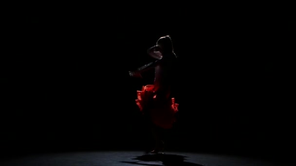 Lady in beautiful dress in the studio on a dark background, a silhouette — Stock Video