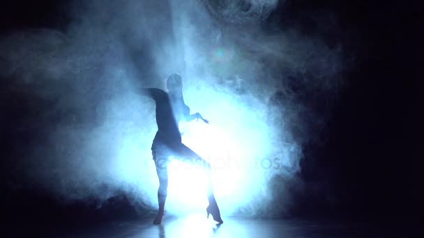 Elementos de baile femenino del deporte: baile de salón en el estudio, silueta. Movimiento lento — Vídeos de Stock