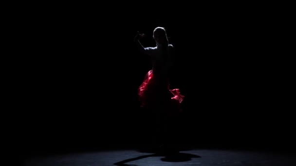 Lady dansende gepassioneerde latin dans, silhouet. Slow motion — Stockvideo