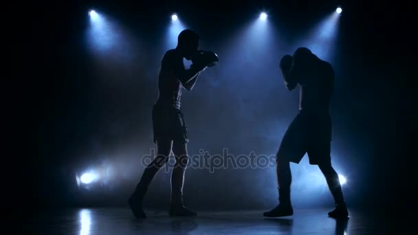 Två unga idrottsutövare boxning i studion — Stockvideo