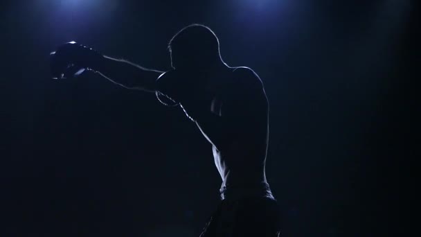Boxer mozog, mint a ringben. Lassú mozgás — Stock videók