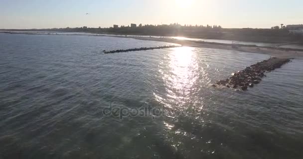 Survoler la mer dans les rayons du soleil couchant 