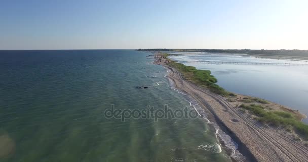 Рано вранці хвилі на морському піщаному березі — стокове відео