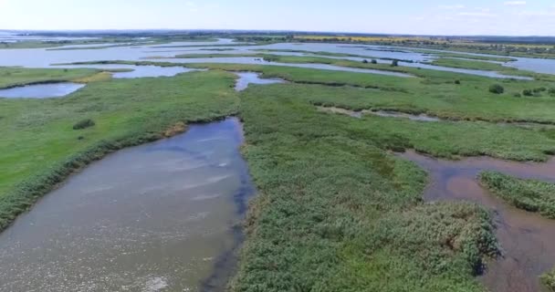 Vista superior de las hermosas bahías de agua formadas por el río — Vídeos de Stock