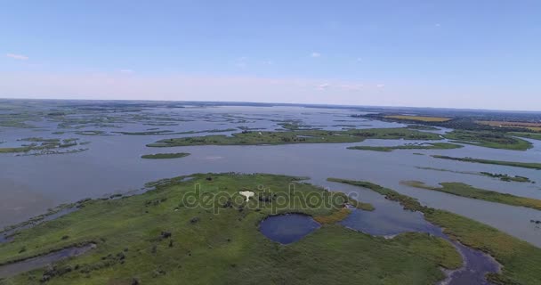 O rio inundou o campo perto de uma pequena aldeia. Ar de tiro — Vídeo de Stock