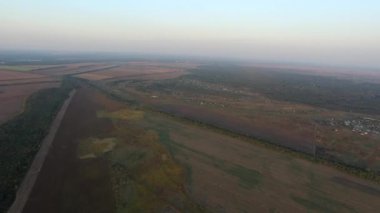 Doğa. Çevresinde çekim panorama. Alanları, dikim, ağaçlar