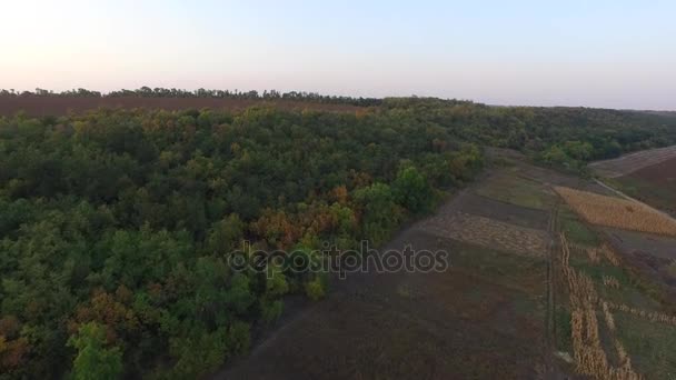 Naturaleza Ucrania. Campos, huertos, árboles. Disparos helicóptero — Vídeos de Stock