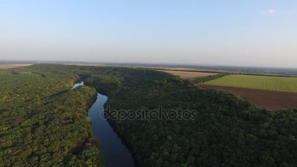 Pequeño río, bosque otoñal, campo arado vista aérea. Paisaje otoñal — Vídeos de Stock