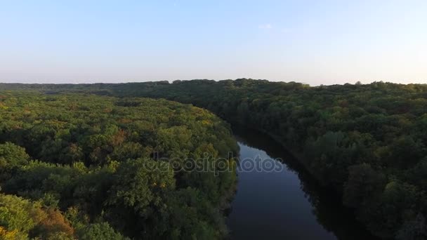 Herfst bos en de rivier van bovenaf. Natuurlijk landschap — Stockvideo