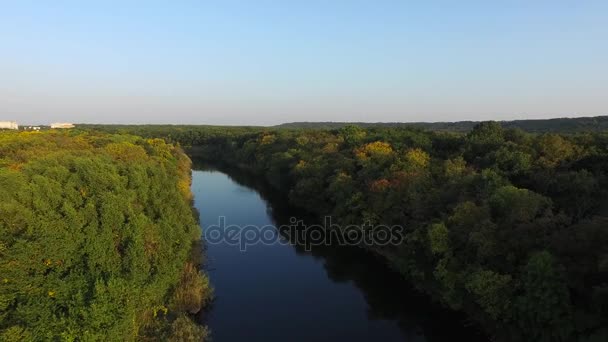 Příroda. Řeka se mezi stromy. Pohled shora — Stock video