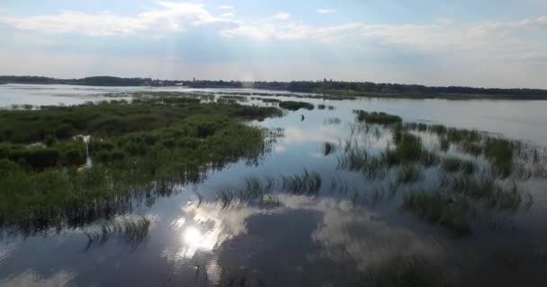 Острова тростника посреди широкой реки — стоковое видео