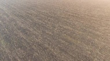 Saman küçük bir miktar ile sürülmüş verimli alan