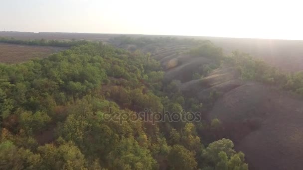 Солнечный день. Холмистый пейзаж с низкими деревьями и травой — стоковое видео