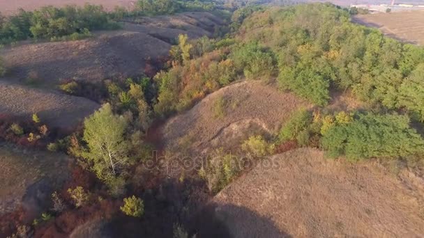 Heuvelachtig ravijn met herfst bomen, struiken en gras. Luchtfoto — Stockvideo