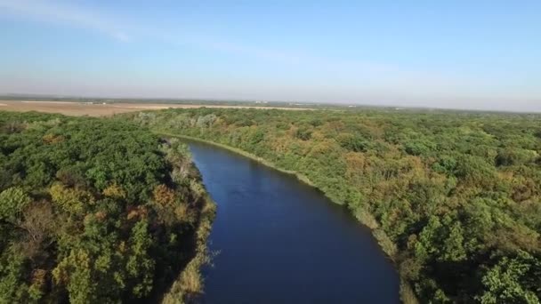 Den lugna rena floden rinner mellan gröna träd. Flygbild — Stockvideo