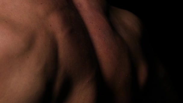 Секс - жіноче руки занурюючись нігті у свого м'язових партнери назад — стокове відео