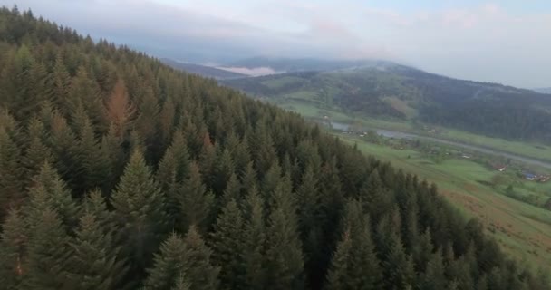 Чудовий краєвид лісистих гір. Вид з повітря — стокове відео