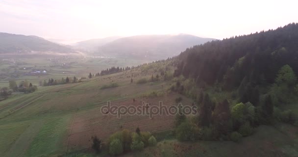 Vista aérea. Primeiros raios do sol sobre a montanha — Vídeo de Stock