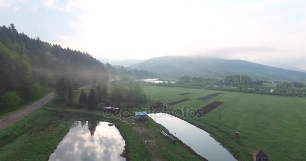 Vista aerea. Mattina in un bellissimo e accogliente angolo di natura — Video Stock