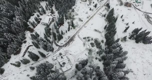 Stiger på den snöiga skogen i bergen — Stockvideo