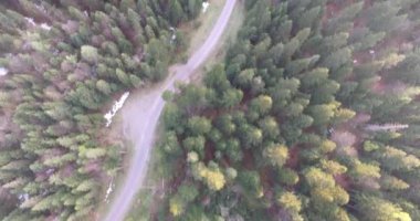 Bahar orman üzerinde gün batımı. Havadan görünümü