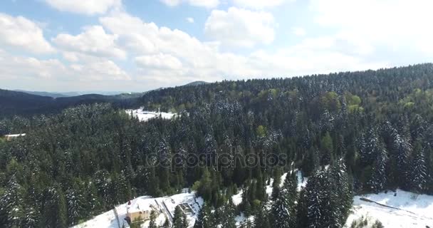 Aerial view. Winter forest on a mountain slope — Stock Video