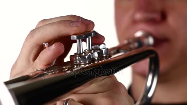 Fingrarna av mannen att trycka knappen på trumpet. Vit bakgrund studio — Stockvideo