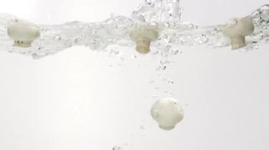 Beyaz slowmotion suda içine sıçramasına mantar