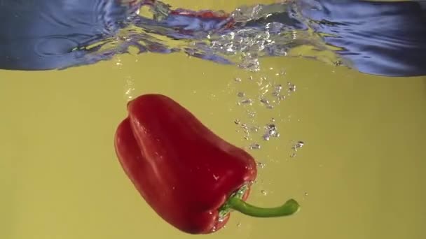 Papryka, przelewanie do wody w slowmotion — Wideo stockowe