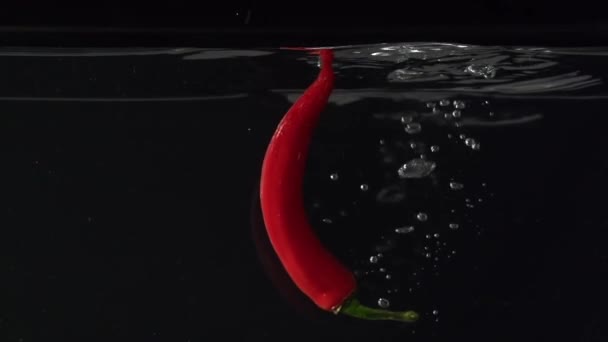 Взбрызги перца чили в воду в медленном темпе — стоковое видео