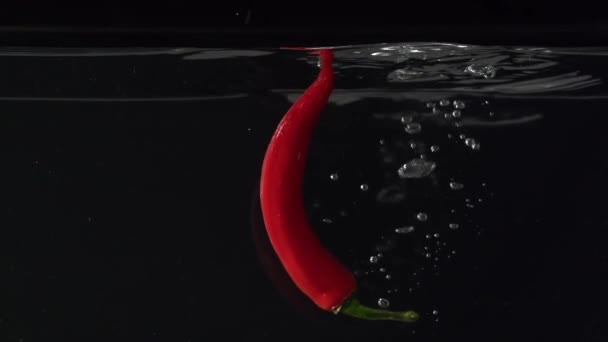 Chili pepper splashing into water in slowmotion — Stock Video