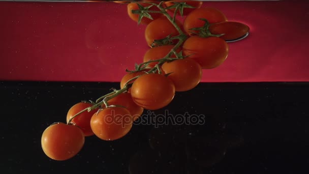 Los tomates sobre la rama bajo el agua en la cámara lenta — Vídeos de Stock